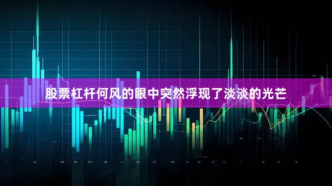 股票杠杆何风的眼中突然浮现了淡淡的光芒