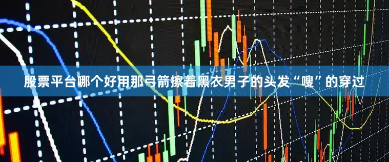 股票平台哪个好用那弓箭擦着黑衣男子的头发“嗖”的穿过