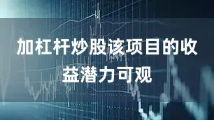 加杠杆炒股该项目的收益潜力可观