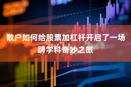 散户如何给股票加杠杆开启了一场跨学科奇妙之旅