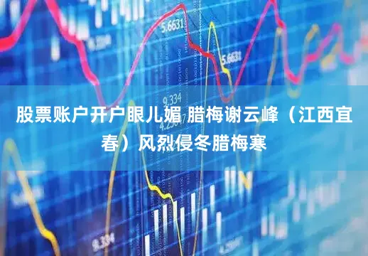 股票账户开户眼儿媚 腊梅谢云峰（江西宜春）风烈侵冬腊梅寒